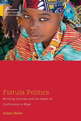 fistula politics birthing injuries and the quest for continence in niger 1st edition alison heller