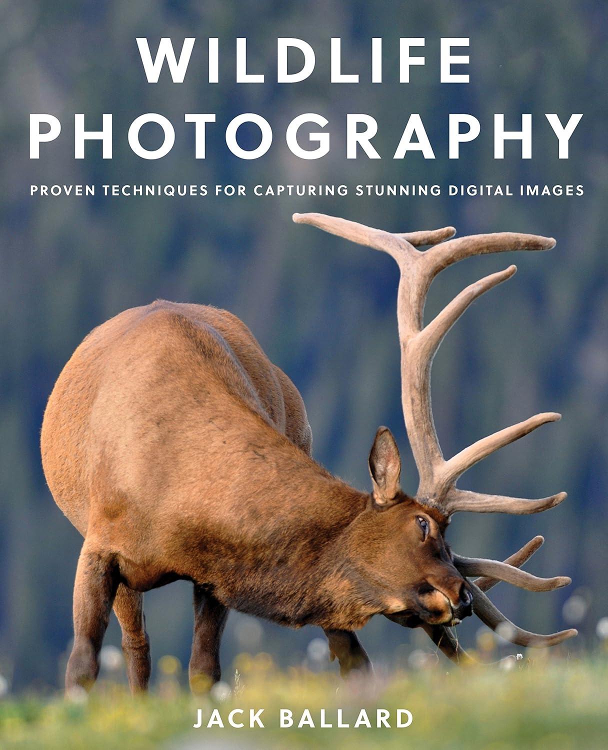 wildlife photography proven techniques for capturing stunning digital images 1st edition jack ballard