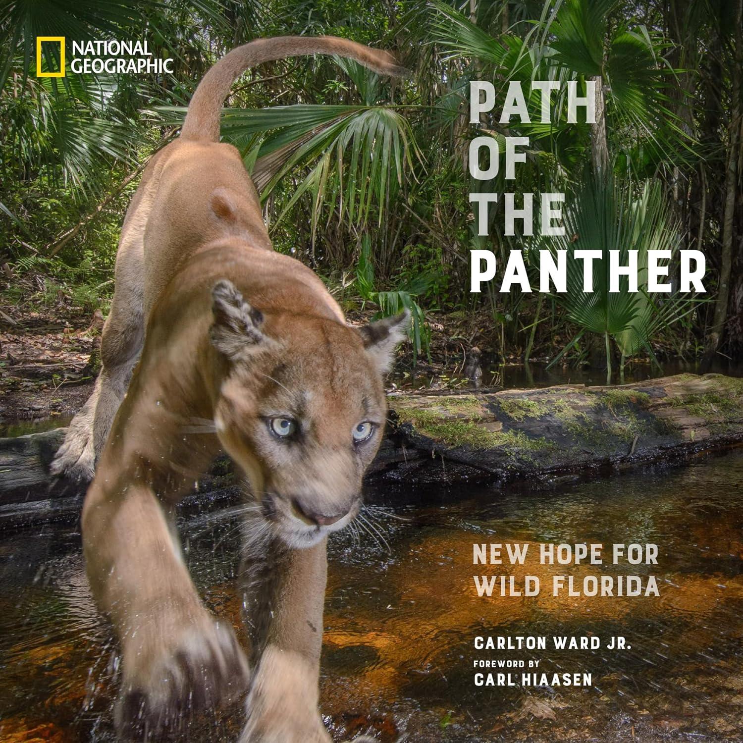 path of the panther new hope for wild florida 1st edition carlton ward jr, carl hiaasen 1426223625,