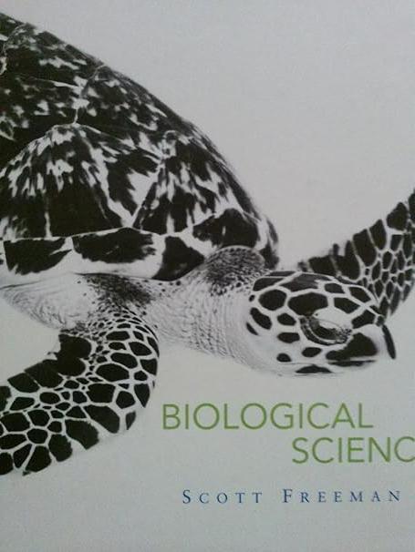 biological science 1st edition scott freeman 0130819239, 978-0130819239