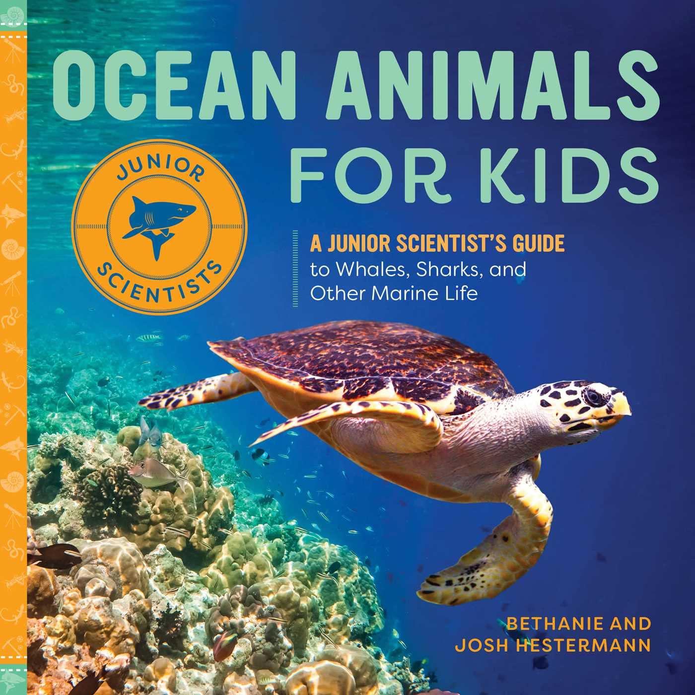 ocean animals for kids a junior scientist s guide to whales sharks and other marine life 1st edition bethanie