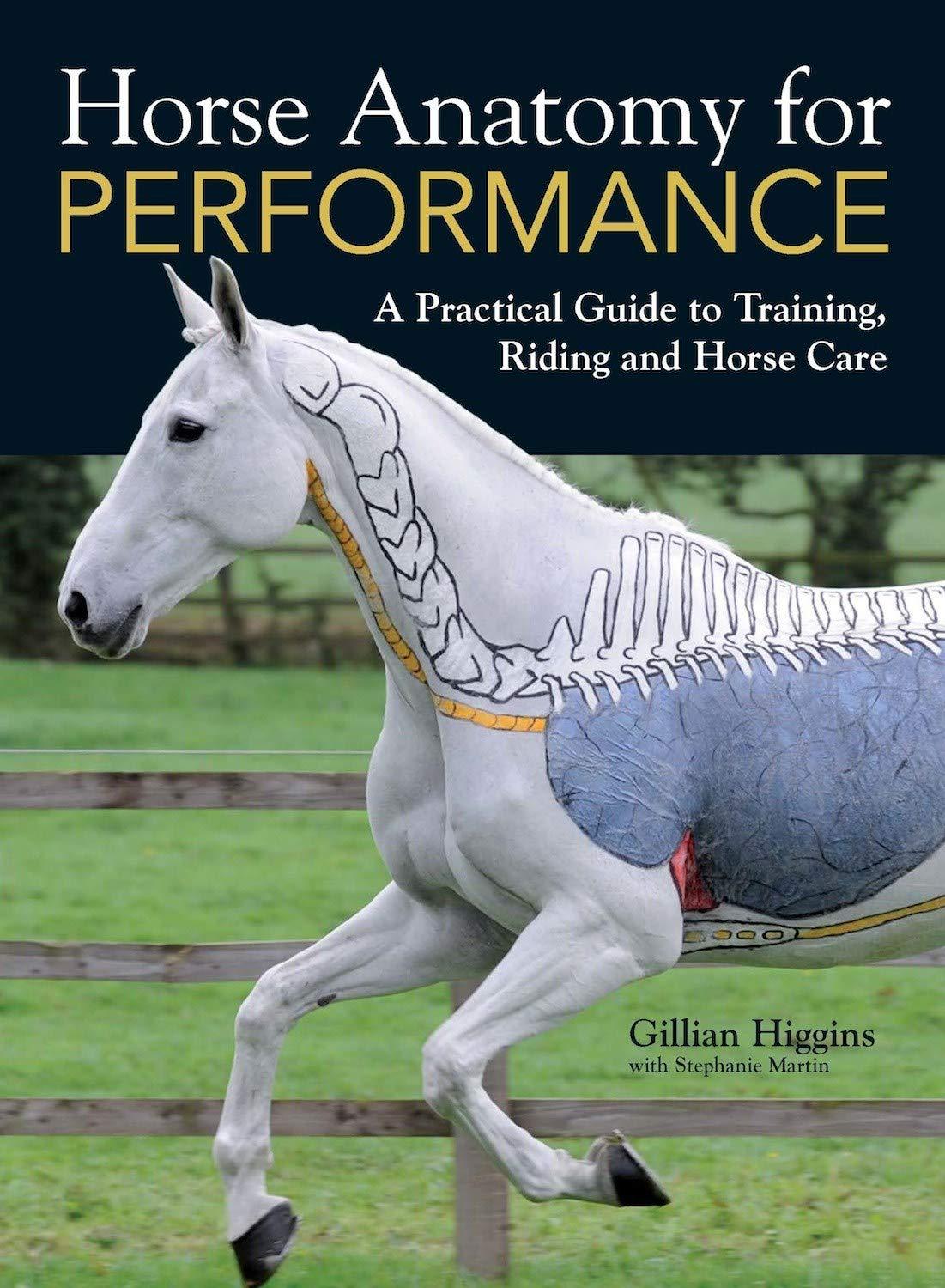 horse anatomy for performance 1st edition gillian higgins 144630096x, 978-1446300961