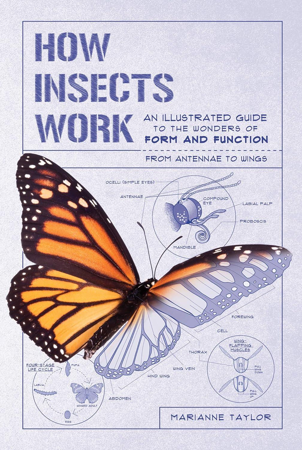 how insects work an illustrated guide to the wonders of form and function from antennae to wings 1st edition