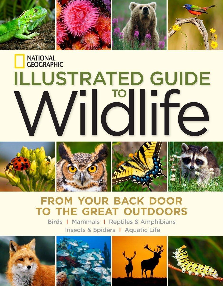 national geographic illustrated guide to wildlife from your back door to the great outdoors 1st edition