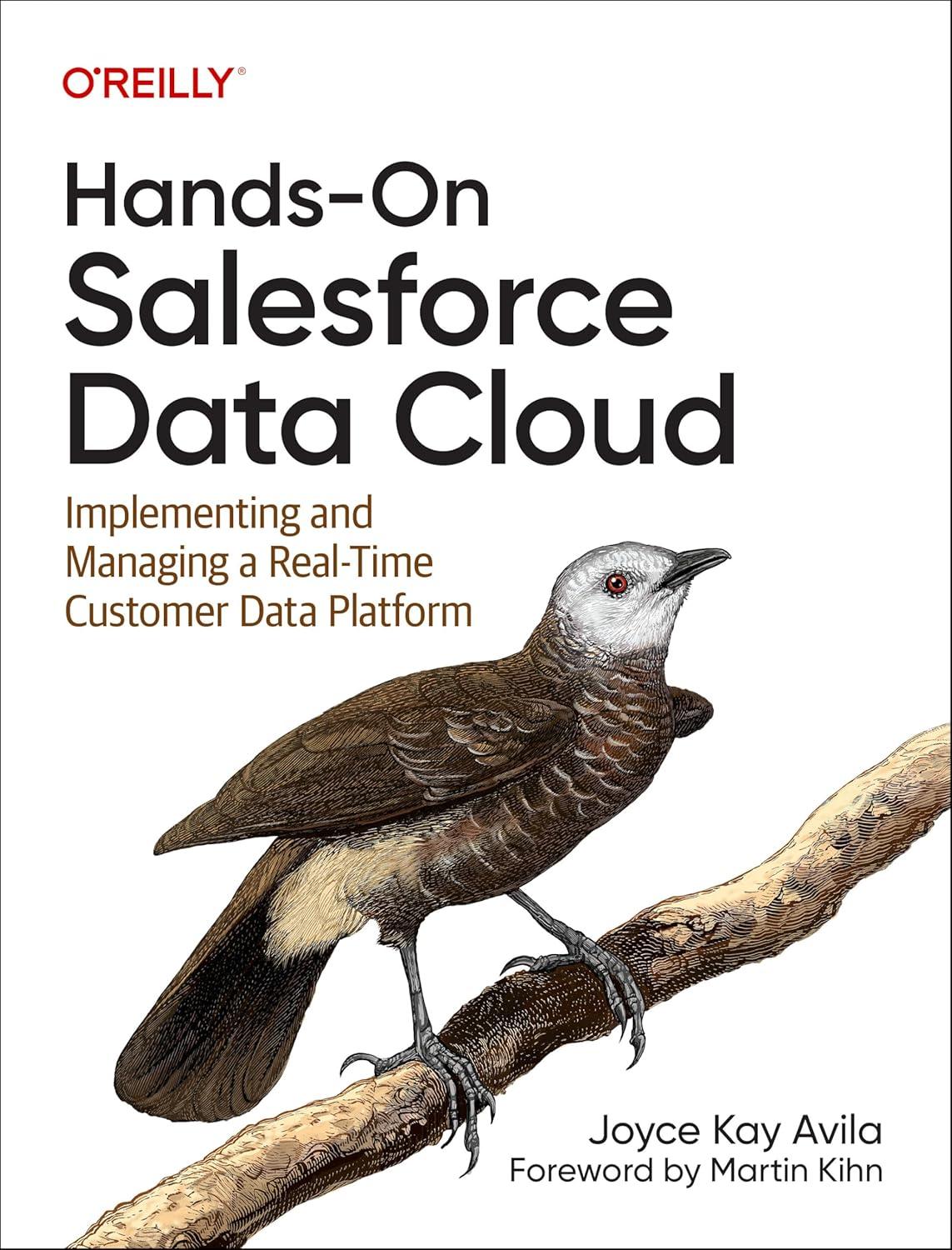 hands-on salesforce data cloud implementing and managing a real-time customer data platform 1st edition joyce