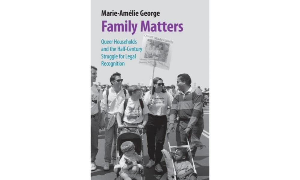 family matters queer households and the half-century struggle for legal recognition 1st edition marie-amélie