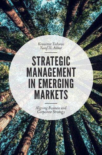 strategic management in emerging markets aligning business and corporate strategy 1st edition krassimir