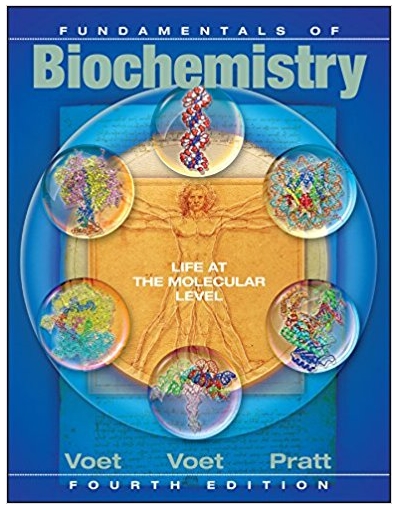 fundamentals of biochemistry life at the molecular level 4th edition donald voet, judith g. voet, charlotte