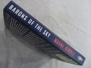 barons of the sky from early flight to strategic warfare the story of the american aerospace industry 1st