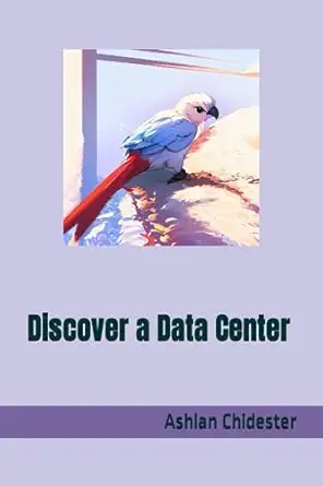 discover a data center 1st edition ashlan chidester ,ripley steele b0cgml71tt, 979-8859265473