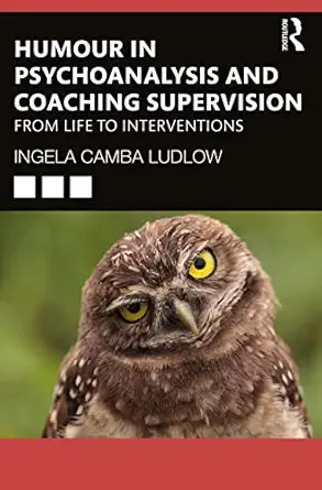 humour in psychoanalysis and coaching supervision 1st edition ingela camba ludlow 0367723093, 978-0367723095