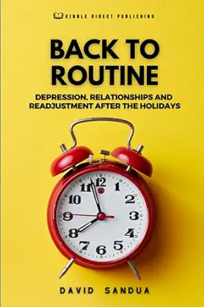 back to routine depression relationships and readjustment after the holidays 1st edition david sandua