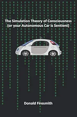 the simulation theory of consciousness 1st edition donald firesmith 1705622917, 978-1705622919