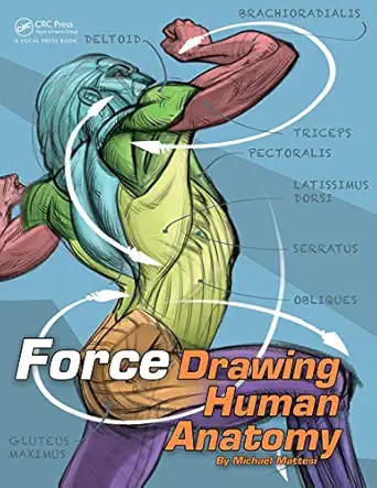 force drawing human anatomy 1st edition mike mattesi 0415733979, 978-0415733977