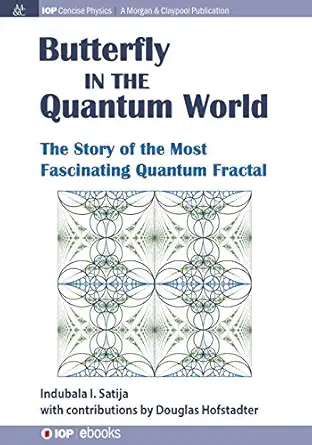 the butterfly in the quantum world the story of the most fascinating quantum fractal 1st edition indubala i