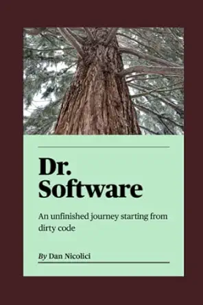 dr software an unfinished journey starting from dirty code 1st edition dan nicolici b0bgn87l5l, 979-8355761103