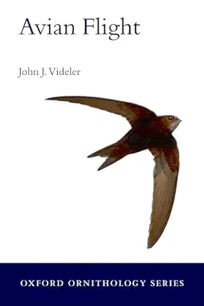 avian flight 1st edition john j videler 0199299927, 978-0199299928