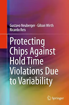 protecting chips against hold time violations due to variability 1st edition gustavo neuberger ,gilson wirth