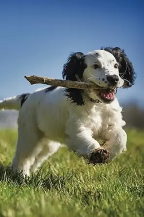 notes thoughts and musings hidden discrete and disguised password log 1st edition drew doran journals