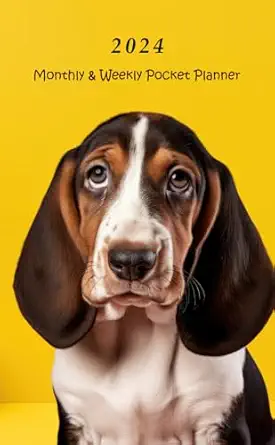 2024 monthly and weekly pocket planner 12 months calendar with federal holidays small size for purse from