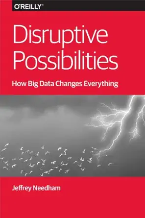 disruptive possibilities how big data changes everything 1st edition jeffrey needham 1449369677,