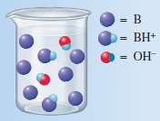 A base B is placed into a beaker of water