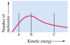 Shown here is a curve of the distribution of kinetic