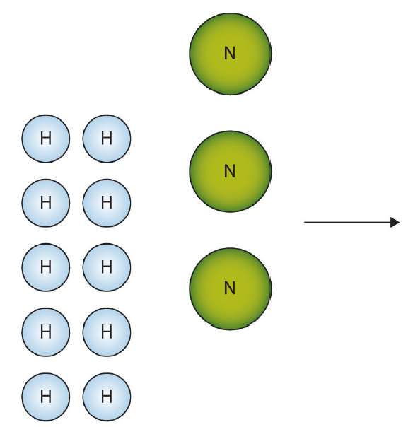 The box below shows a group of nitrogen and hydrogen