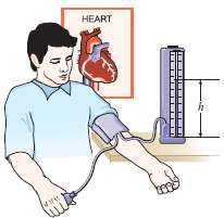 The maximum blood pressure in the upper arm of a