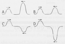 Shown above right are four different pairs of transverse wave
