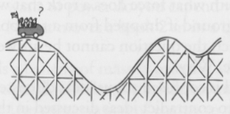 Discuss the design of the roller coaster shown in the