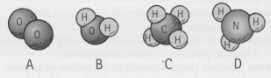 Rank the mass of these molecules from most to least.