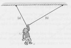 Nellie Newton hangs motionless by one hand from a clothesline.