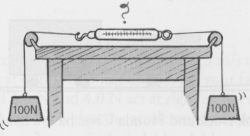 Two 100-N weights are attached to a spring scale as