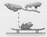Freddy Frog drops vertically from a tree onto a horizontally