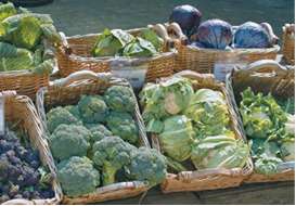 The U.S. annual per-capita consumption of broccoli was 3.1 lb
