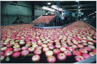 The top three apple growers in the world-China, the United