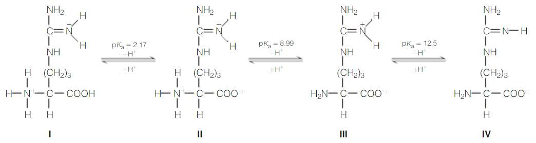 Te amino acid arginine ionizes according to the following scheme:(a)
