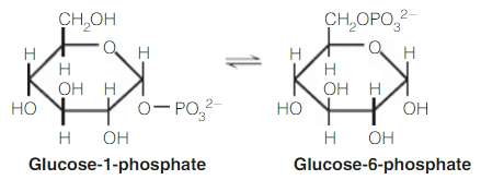 The phosphate transfer potentials for glucose-1-phosphate and glucose-6-phosphate are 20.9