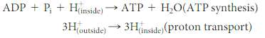 ATP is synthesized from ADP, Pi, and a proton on