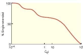 DNA renaturation curves occasionally show three distinct phases of renaturation.