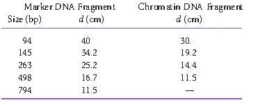 A sample of chromatin was partially digested by the enzyme