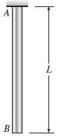 A bar AB of length L and weight density Î³