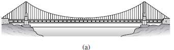 The main cables of a suspension bridge [see part (a)