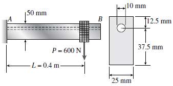 A cantilever beam AB with a rectangular cross section has
