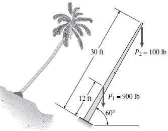 A palm tree weighing 1000 lb is inclined at an