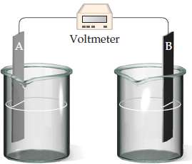 Assume that you want to construct a voltaic cell that