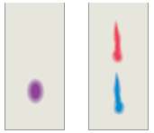 Chromatography (Figure 1.14) is a simple but reliable method for