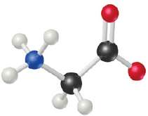 Glycine, an amino acid used by organisms to make proteins,
