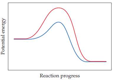 The following graph shows two different reaction pathways for the